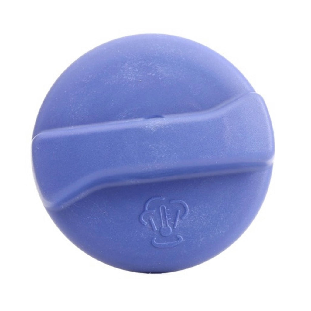 VW T4 expansion tank cap
